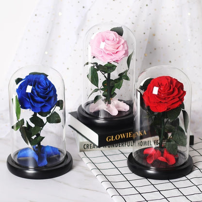 Beauty And The Beast Red Rose In A Glass Dome On Rose Living Room Bedroom Table Decorations Valentines Day Gifts Birthday Gifts