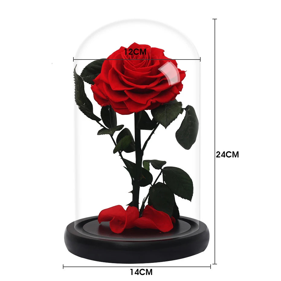 Beauty And The Beast Red Rose In A Glass Dome On Rose Living Room Bedroom Table Decorations Valentines Day Gifts Birthday Gifts