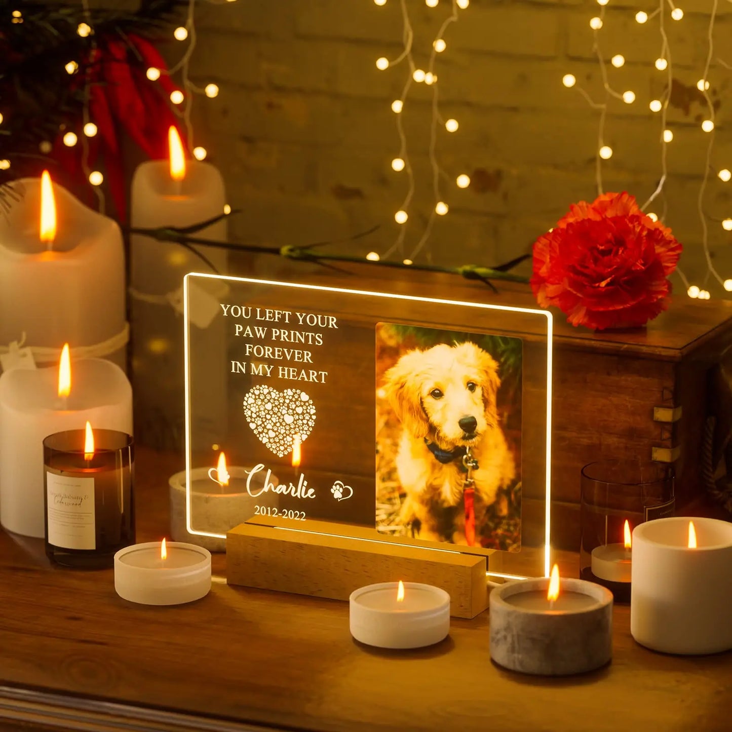 Personalized Dog Memorial Gifts Custom Photo Night Lights Pet Loss Gifts Cat Memorial Photo Frame Sympathy Gifts